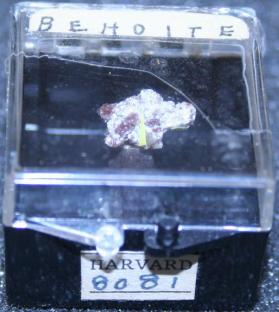 Behoite