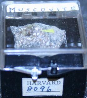 Muscovite
