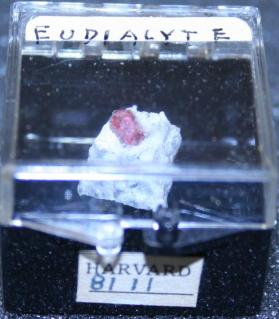Eudialyte