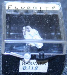 FLUORITE