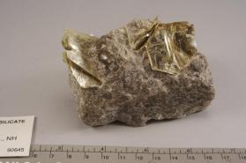 Muscovite