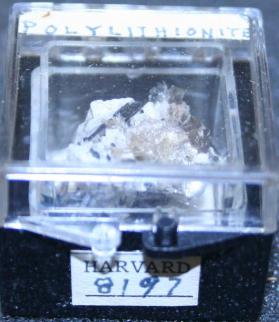 Polylithionite