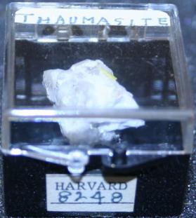 Thaumasite
