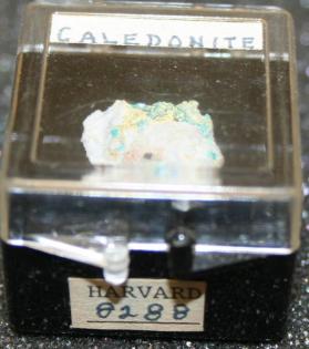 Caledonite