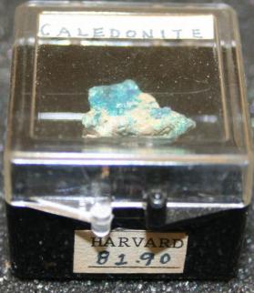 Caledonite