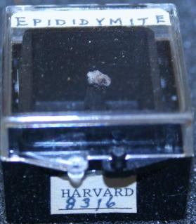 Epididymite