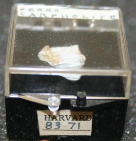 Ferrocarpholite