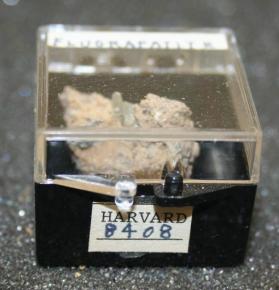 FLUORAPATITE