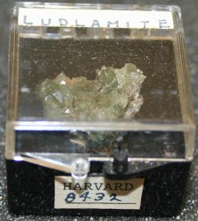 Ludlamite