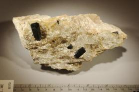 SCHORL