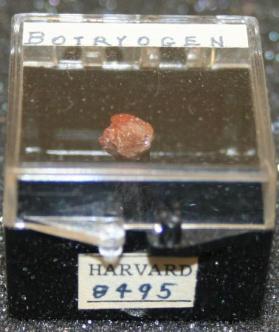 Botryogen