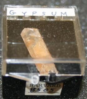 Gypsum