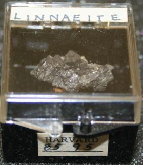 Linnaeite