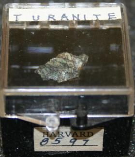 Turanite