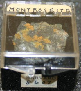 Montroseite