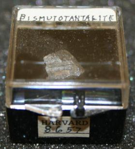 Bismutotantalite