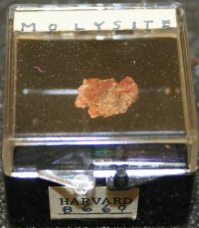 Molysite