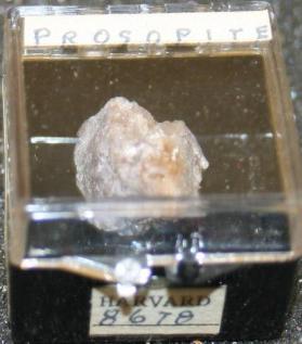 Prosopite