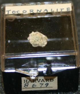 Tocornalite