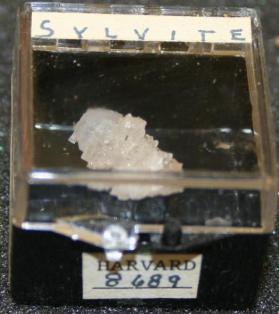 Sylvite