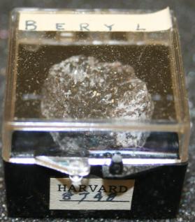BERYL