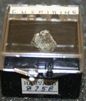 Cuspidine