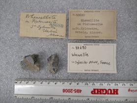 Whewellite