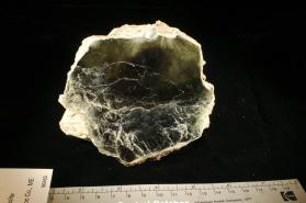 Muscovite