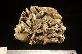 Muscovite with Albite and Quartz