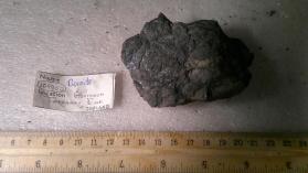 Bornite