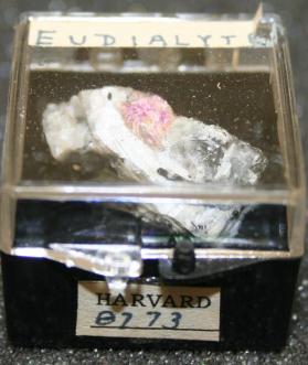 Eudialyte