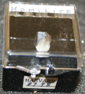 Homilite
