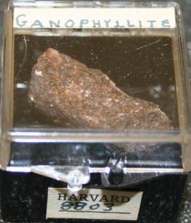 Ganophyllite
