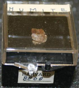 Humite