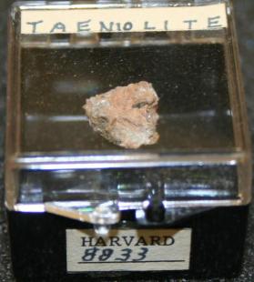 Taeniolite