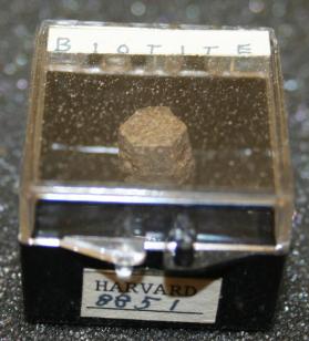 Biotite