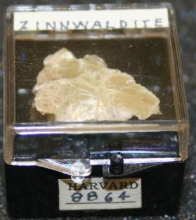 Zinnwaldite