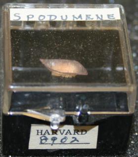 SPODUMENE
