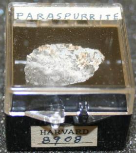 Paraspurrite