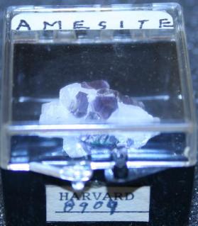 Amesite