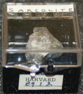 Sarcolite