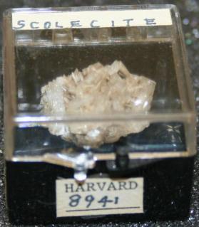 SCOLECITE