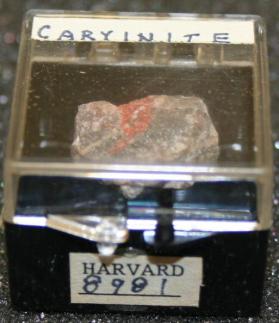 Caryinite