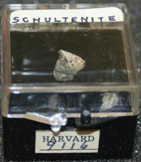 Schultenite
