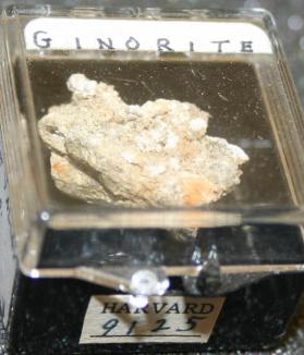 Ginorite