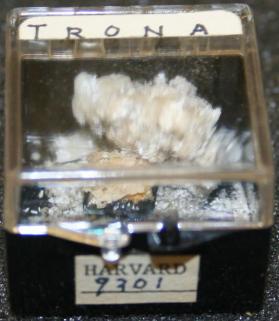 Trona
