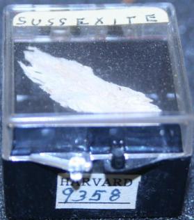 Sussexite