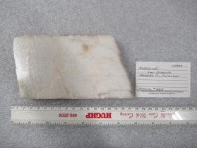MICROCLINE
