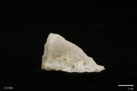 Gold with Quartz