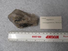 megabasite